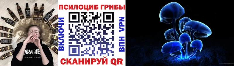 Псилоцибиновые грибы Cubensis Котельнич